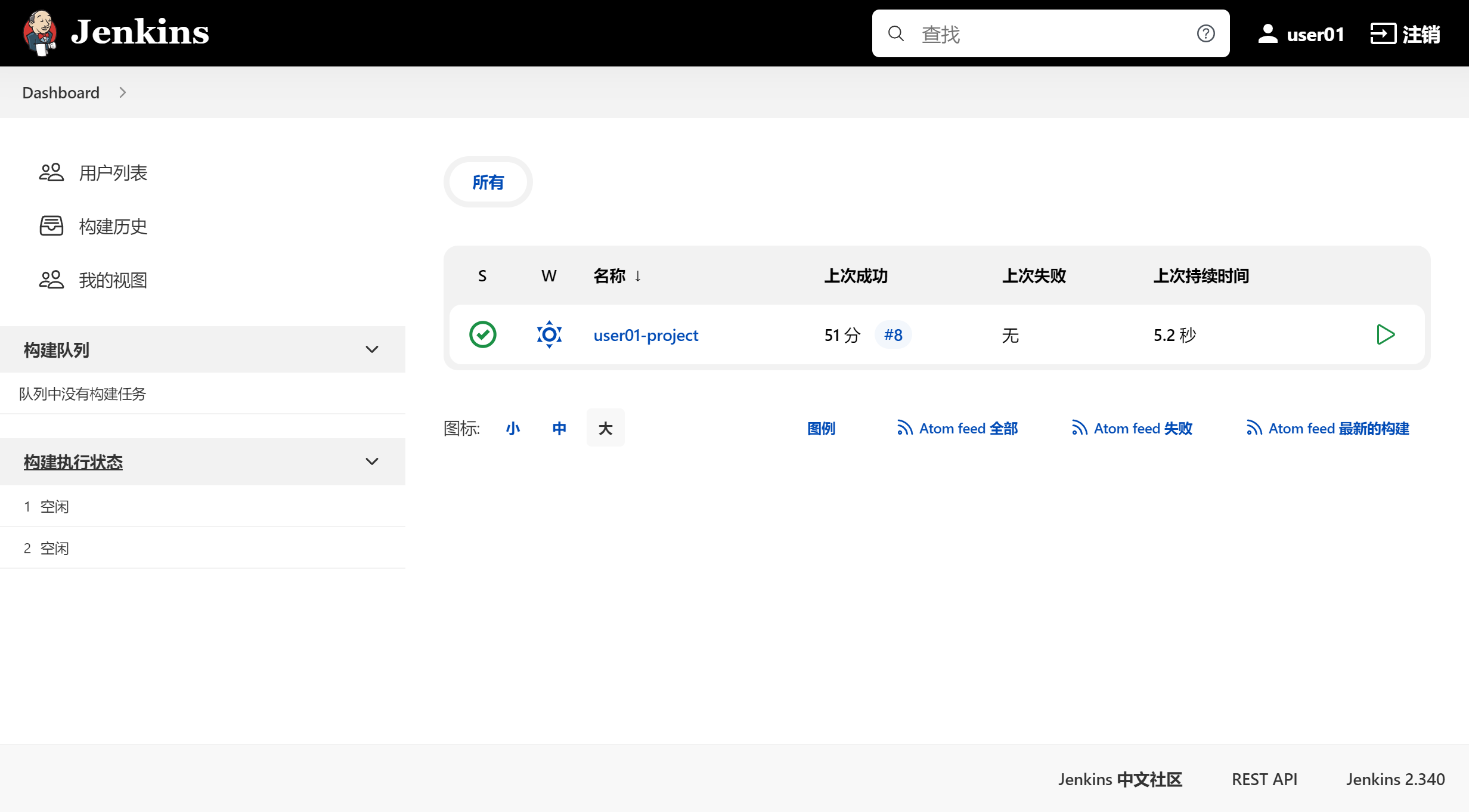 jenkins用户权限4